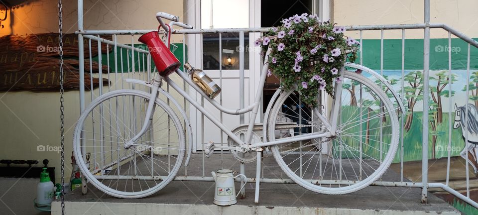 In the restaurant,the old bicycle .
