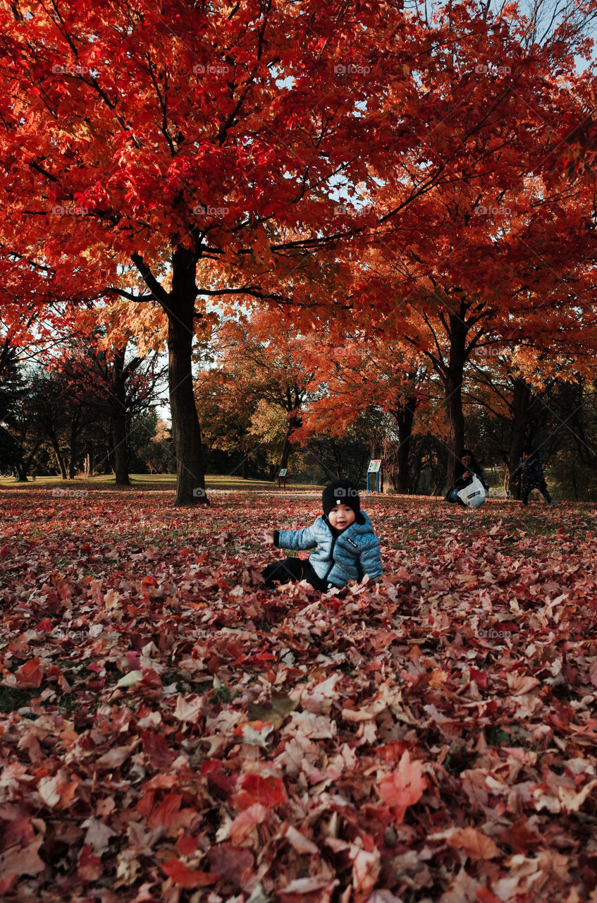 Cute toddler portrait