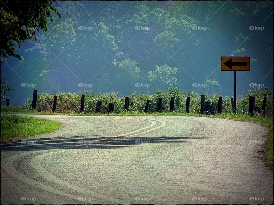 Curves on an Arkansas Highway