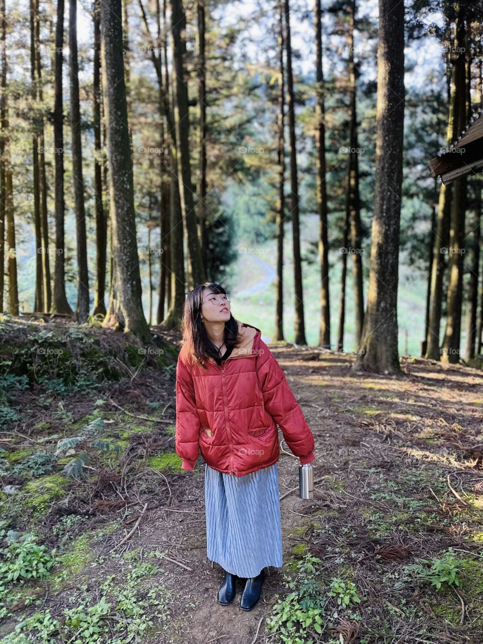 Take a walk in the forest.