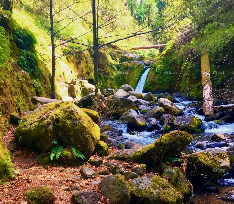 Somewhere in Oregon.