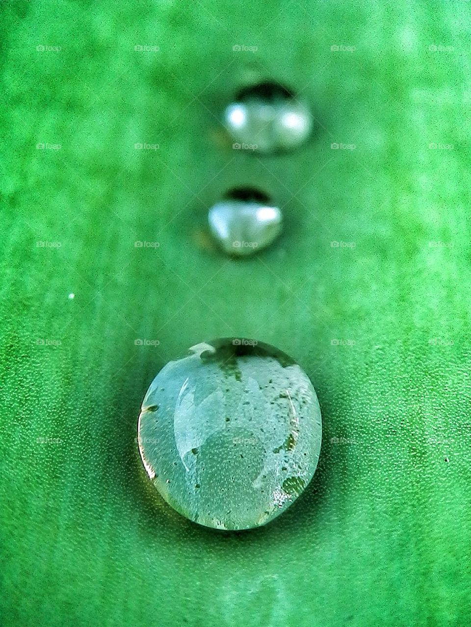 Raindrops