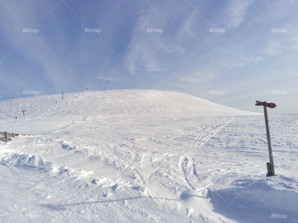 View of snowy landscape