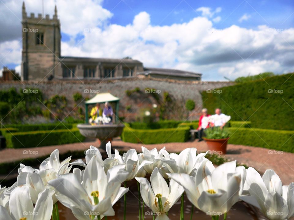 Garden. Gardens church