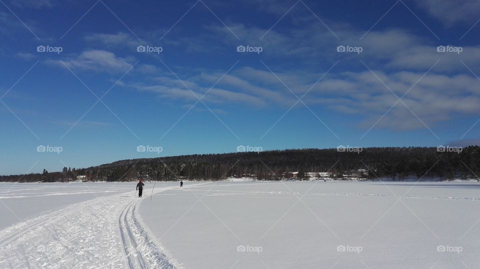 Snow, Winter, Cold, Landscape, Ice