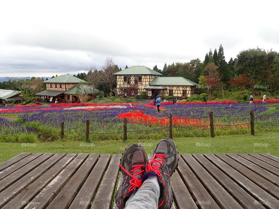 Enjoying views of flower fields