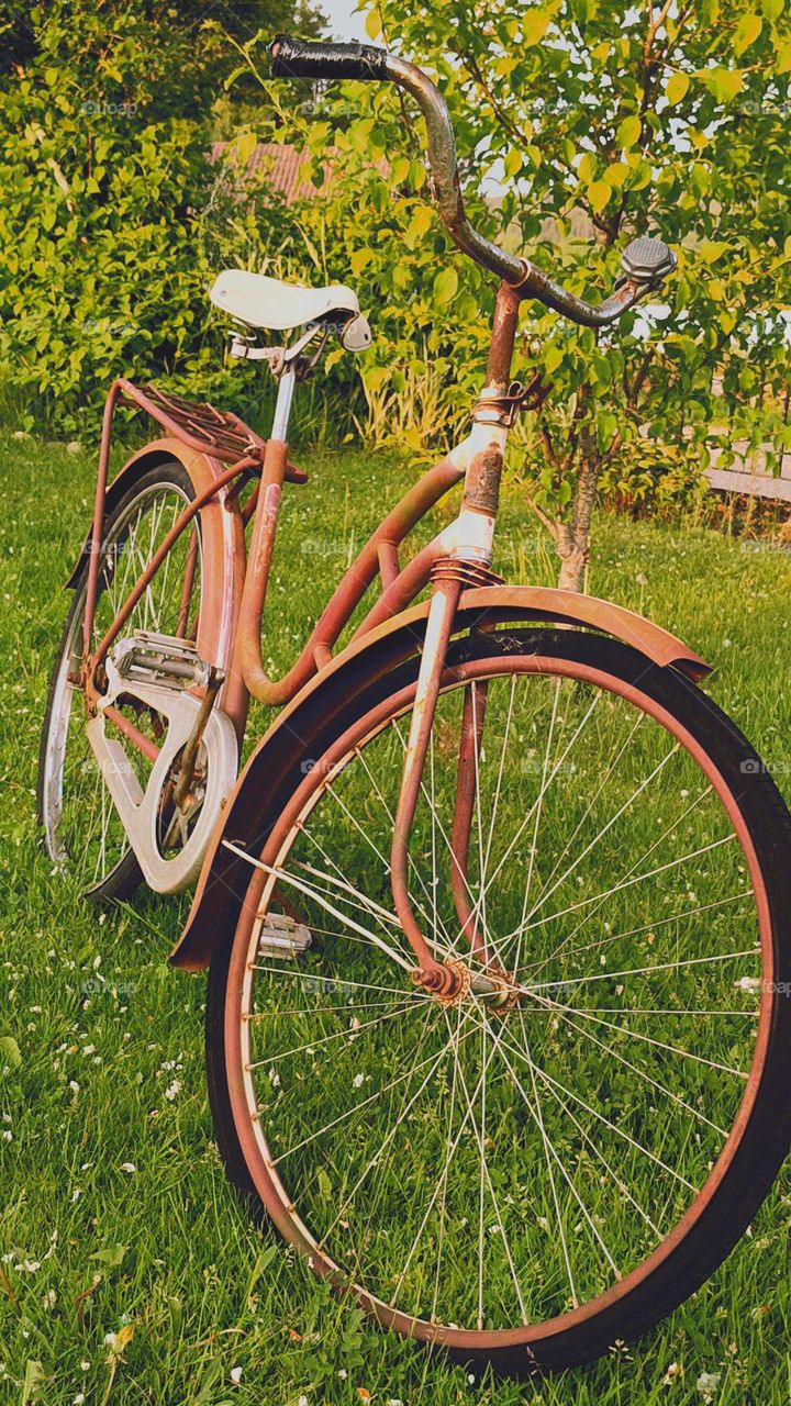 Old charmig bicycle,not in use but standing on the grass and adorns our yard