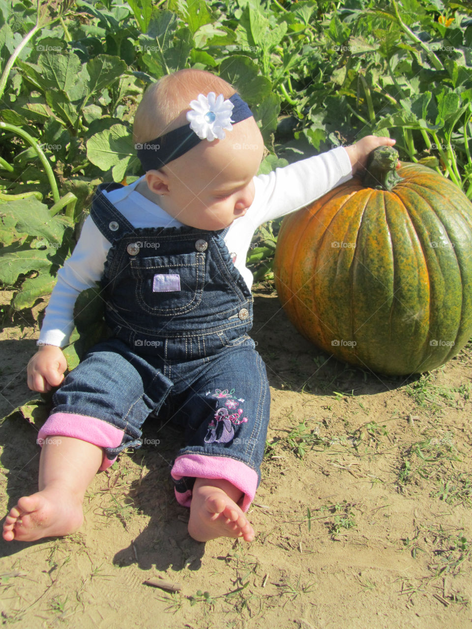 baby fall cute pumpkin by kpt613