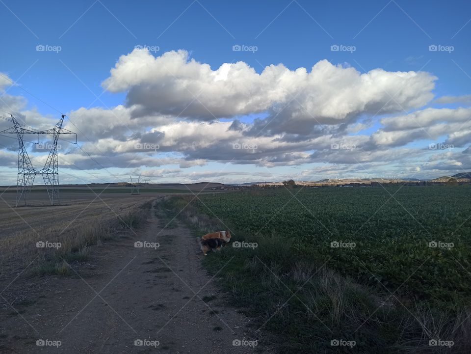 Paseo entre las nubes