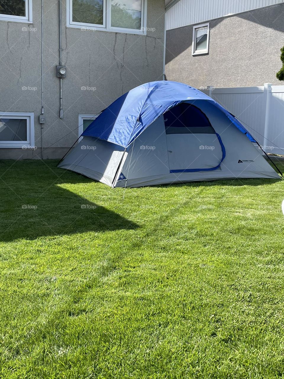 Camping in the backyard 
