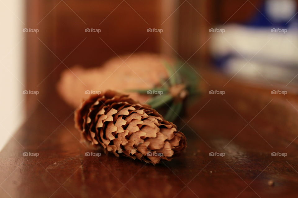 pine cones close-up macro