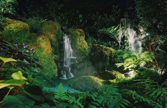 Beautiful waterfalls and garden in the valley