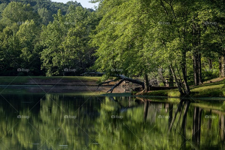 Grundy Lakes, Tracy City, Tennessee. 