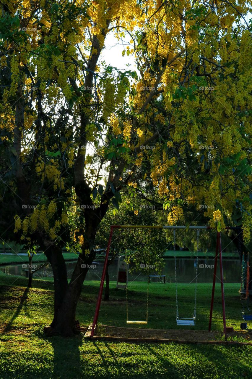 Vale do Sol - playground, flowering trees and lake