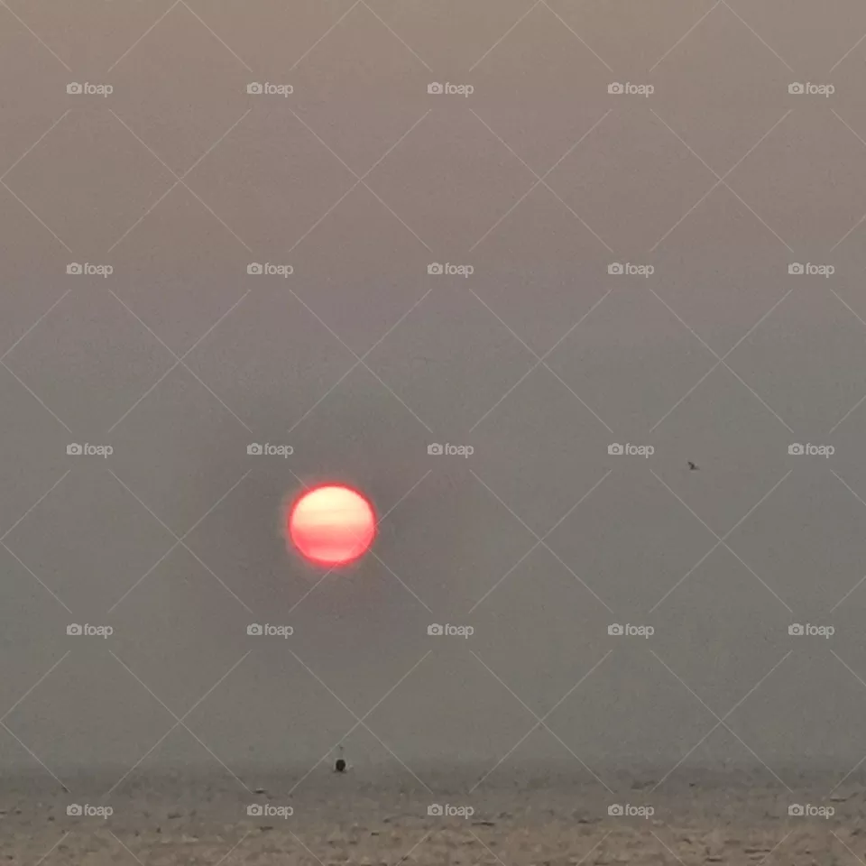Sunset with a summer evening. The Netherlands