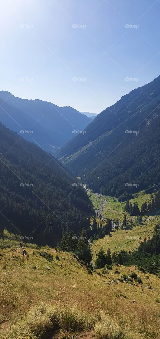 Carpathian mountains