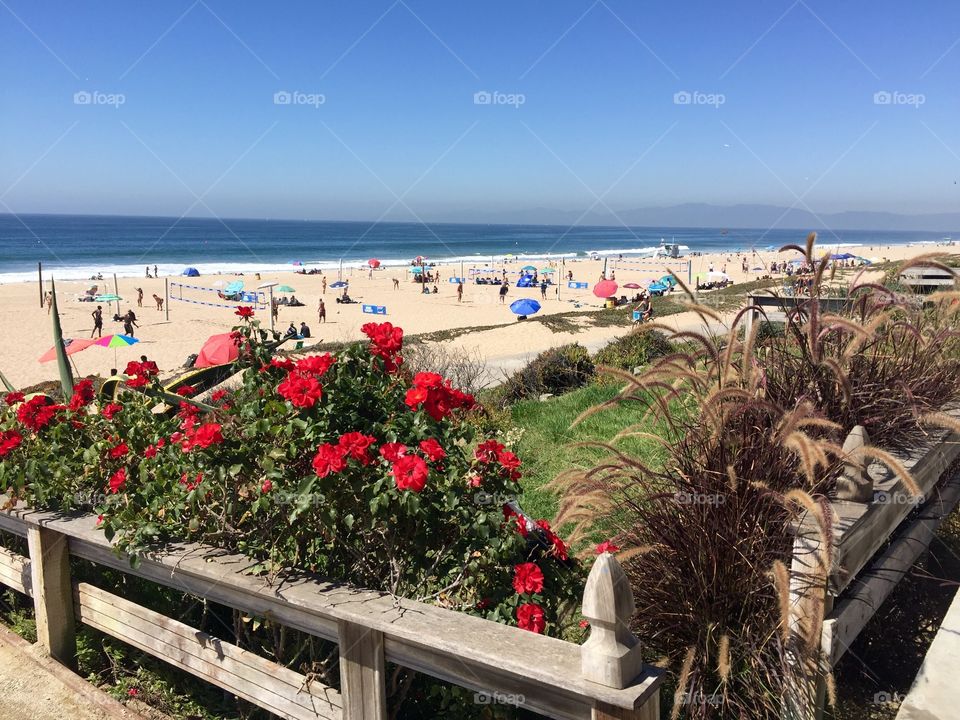 The Strand Manhattan Beach 1