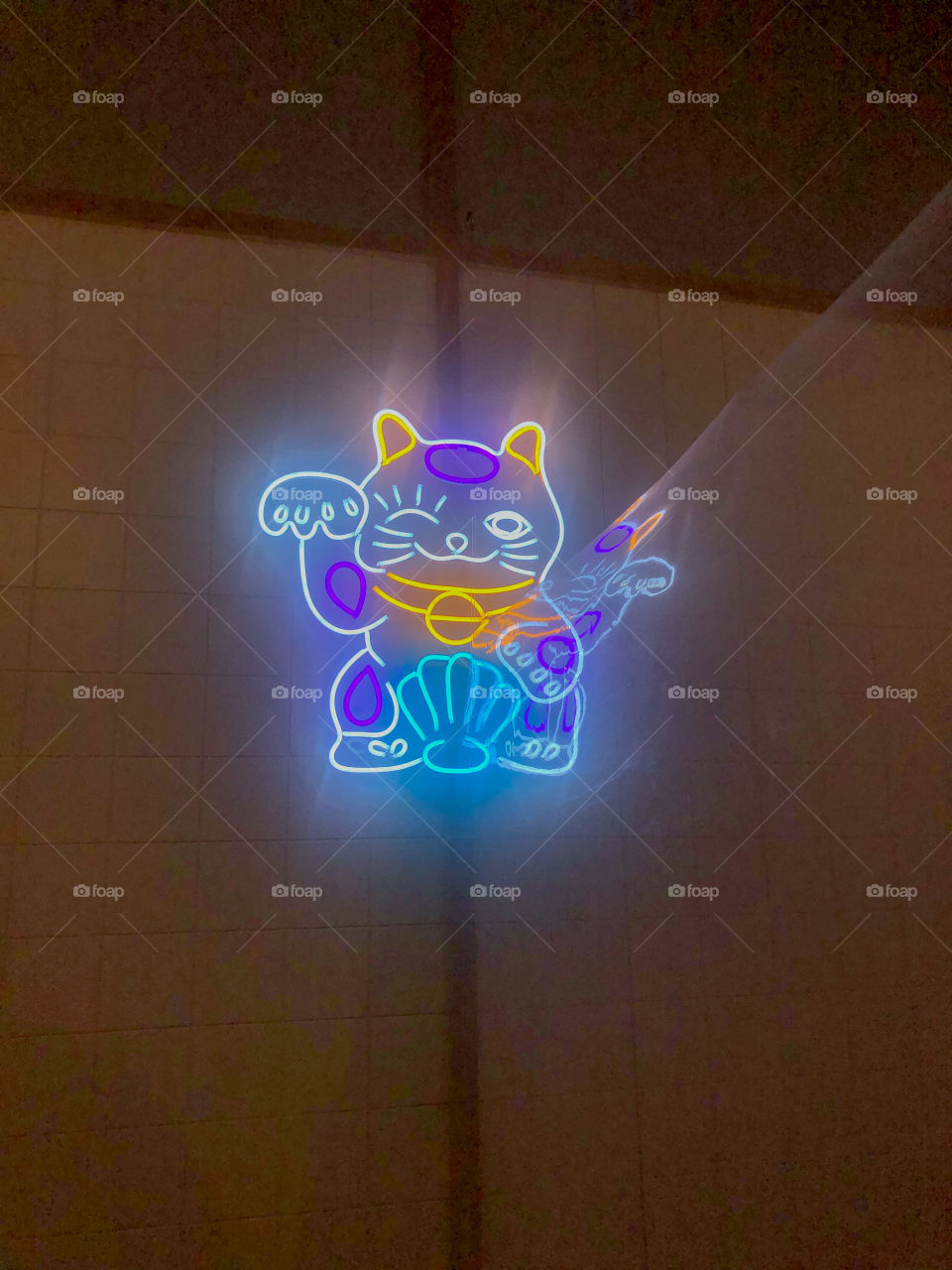 Neon Cat Lamp