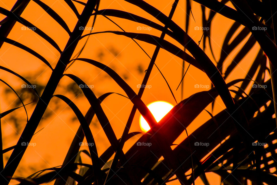 Pretty Orange sky during decent dawn creates warm feel.