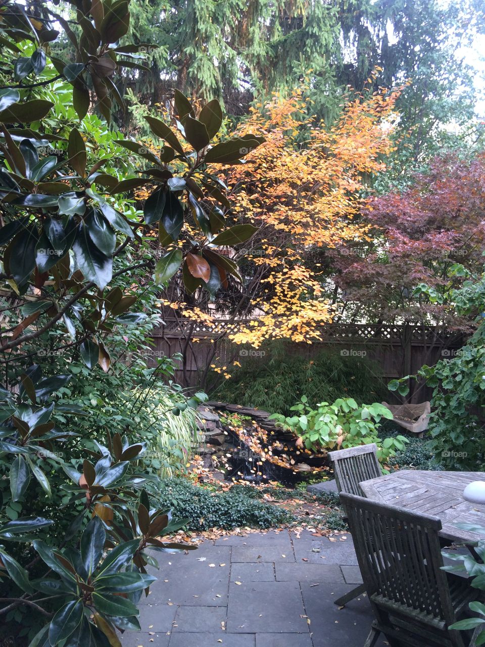 Autumn garden with table
