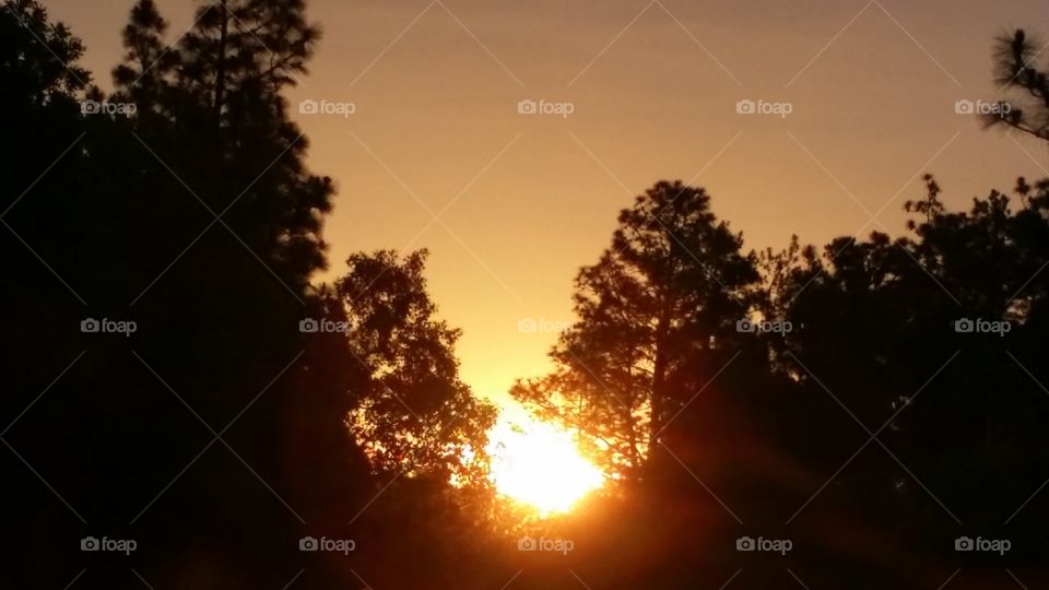 Fire in the sky. Sunset at the end of the road 