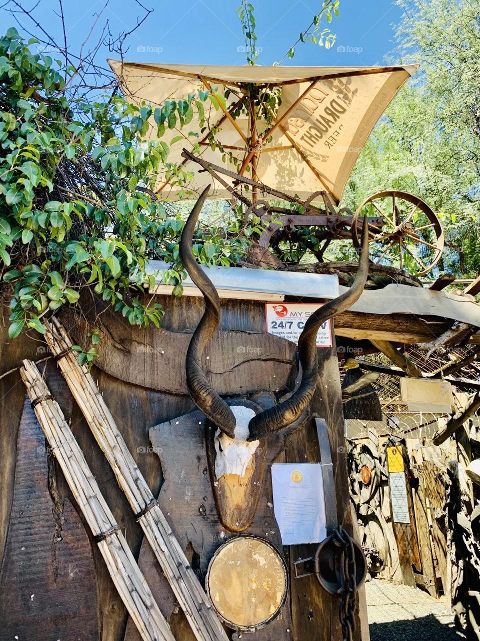Old scrap ornamental objects used as theme of a vintage restaurant. An old skull of a kudu with long curled horns.