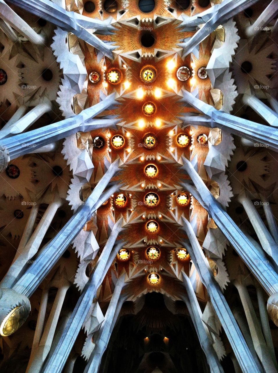 El techo de la Sagrada Familia