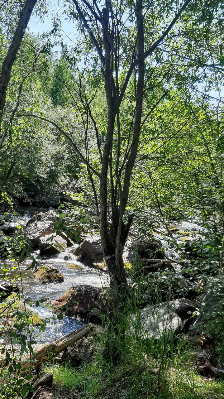 Nature.