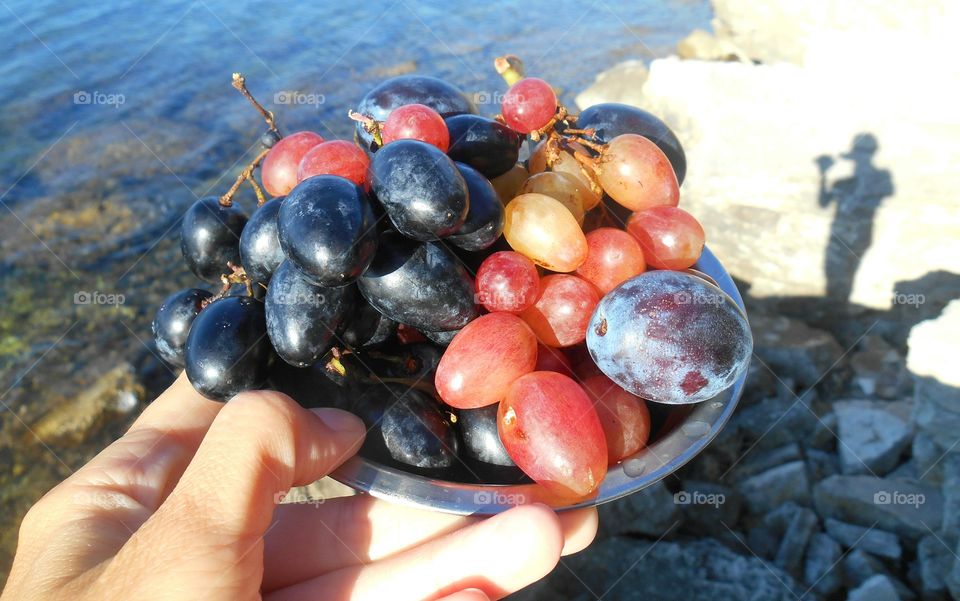 Fruit, Food, Nature, No Person, Summer