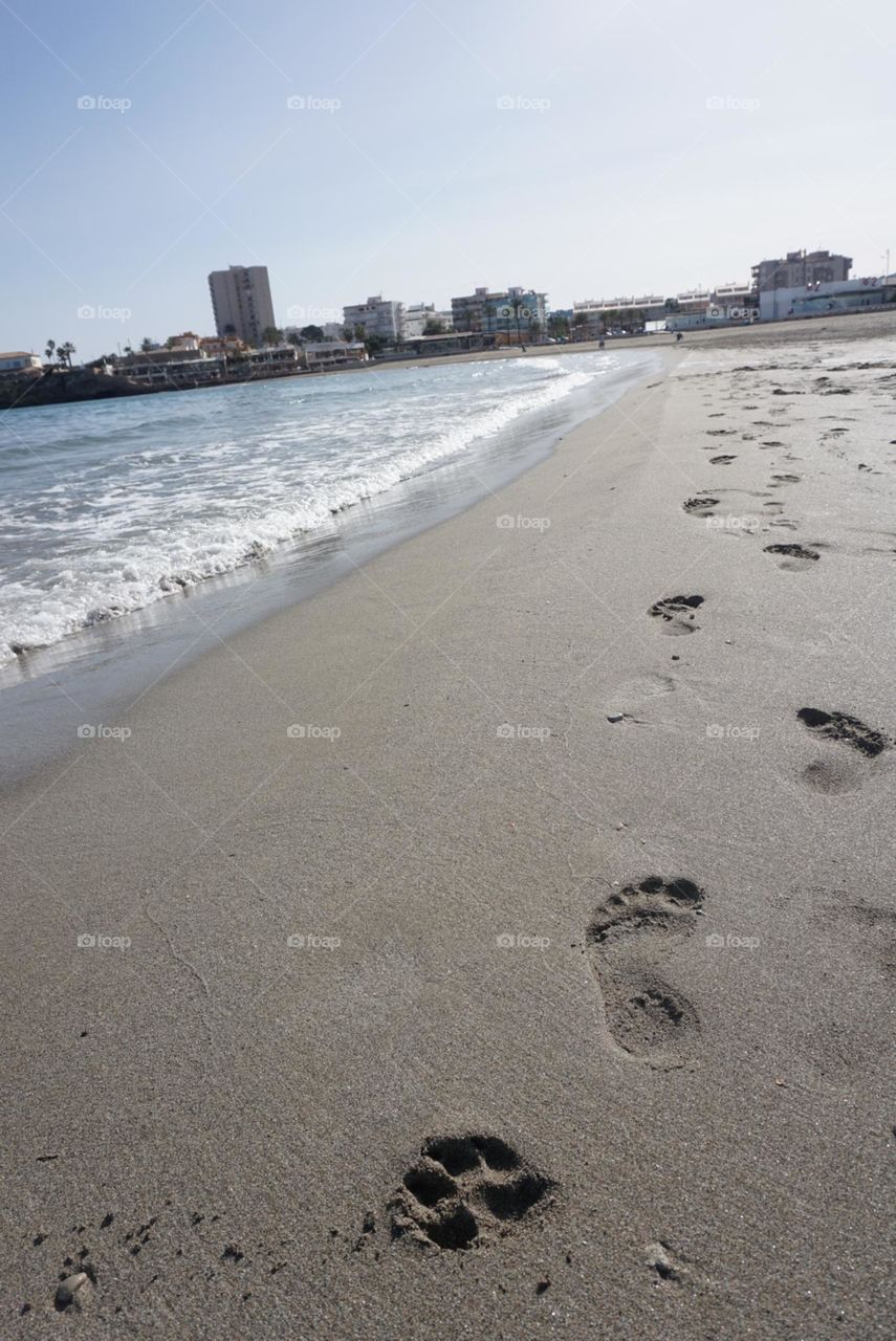 Beach#sand#sea#tracks#view