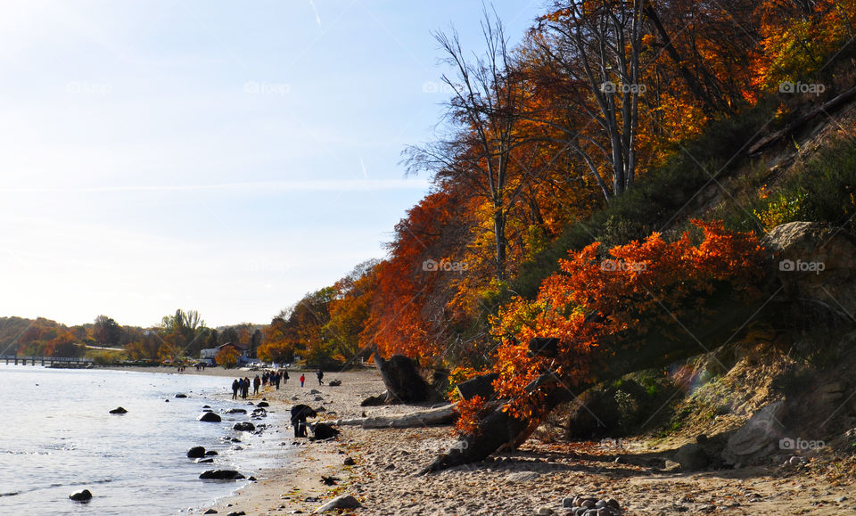 Autumn view beach 