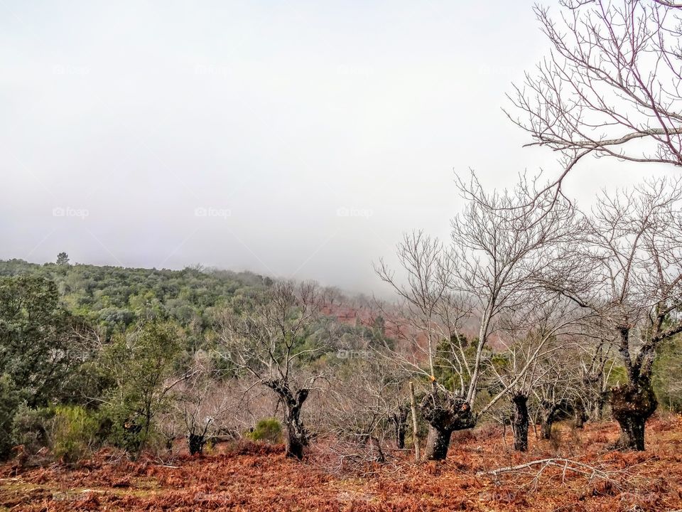 Hiking outside Sevilla, Spain