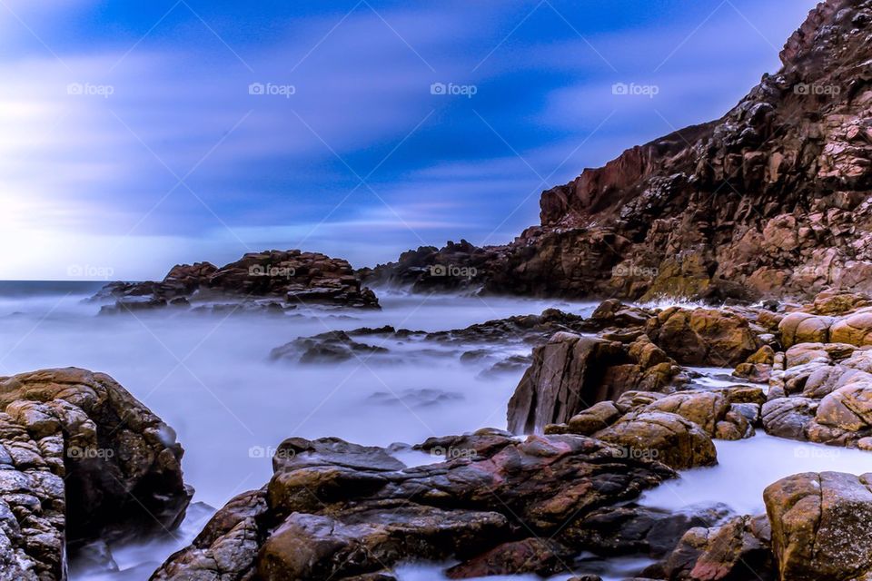 Scenic view of nature