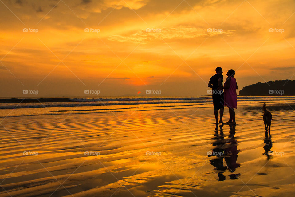 Sunset, Beach, Dawn, Sun, Water