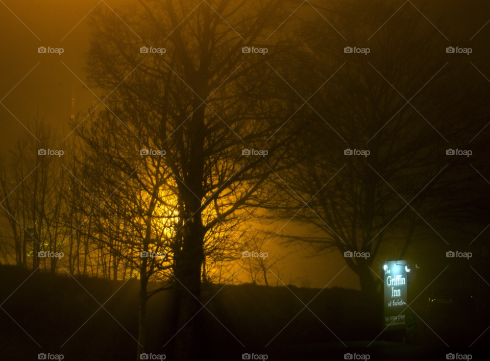 light dark trees night by gregmanchester