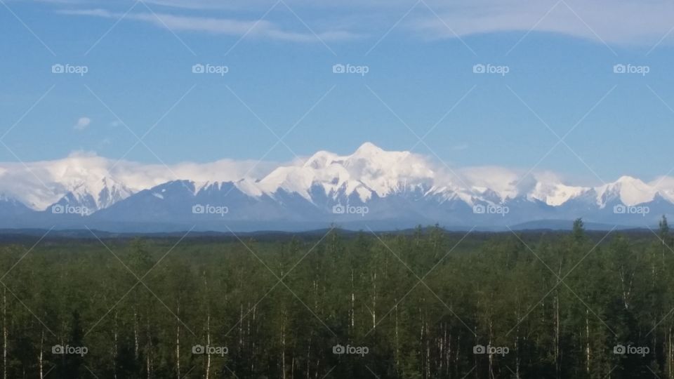 Alaska Range. South of Delta Junction