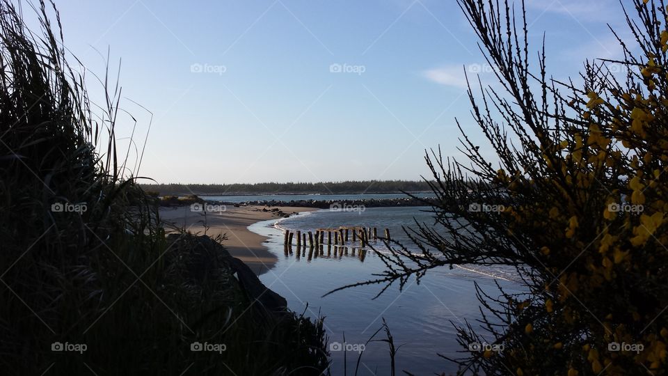 Windy Cove . Windy Cove is crowed with Ocean & Fresh water fish.