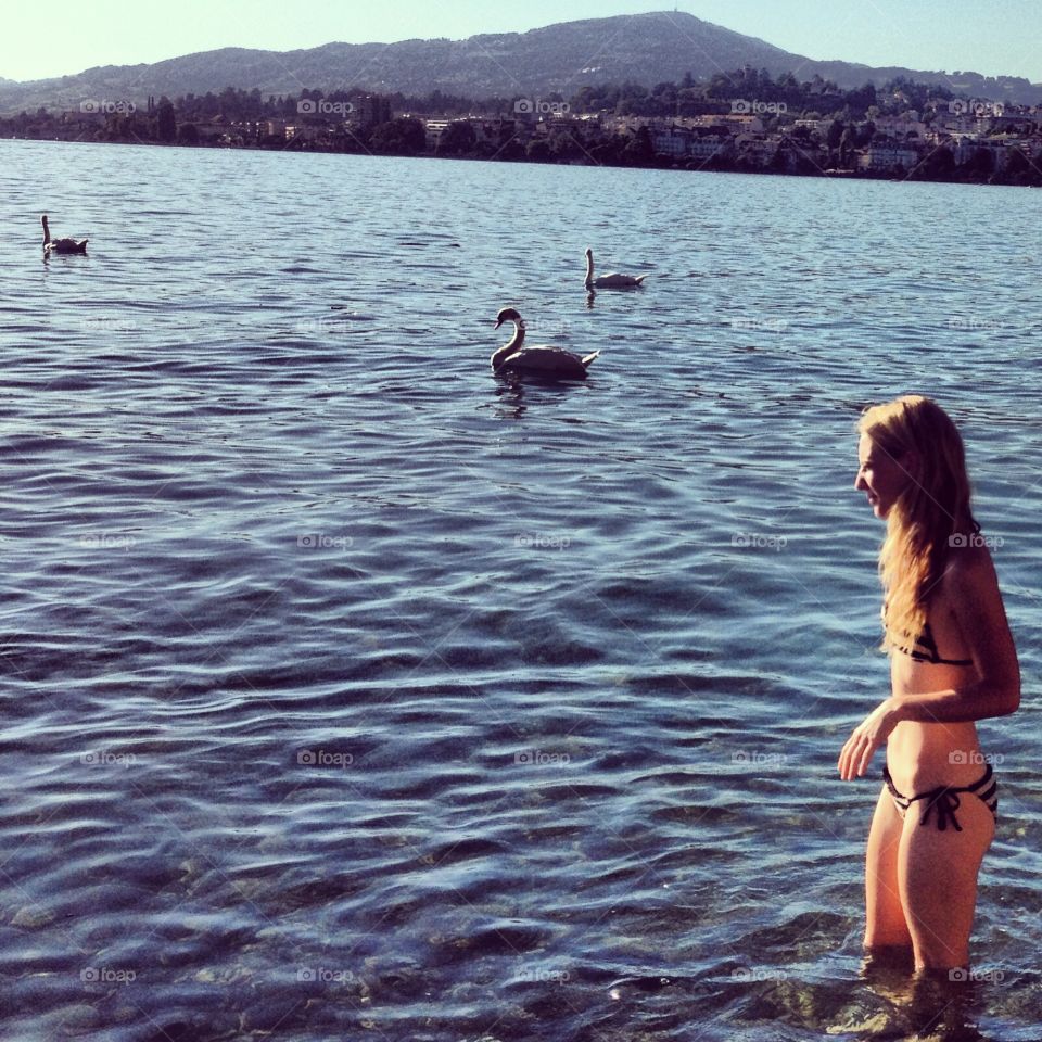 Swim with swans