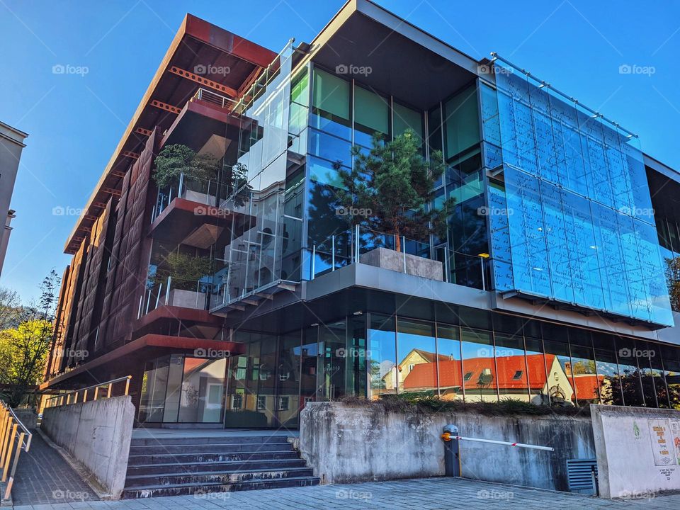 A green Christmas tree, a pine that grows on the balcony in the office.  City.