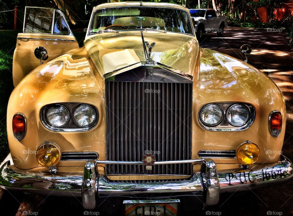 Conspicuous consumption 