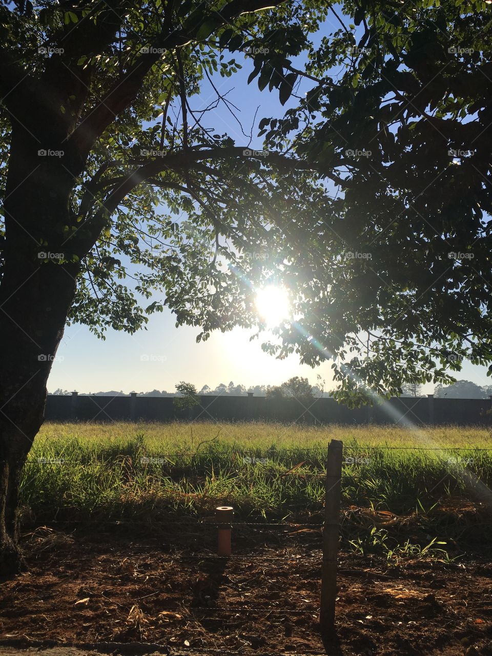 Sem filtros, o amanhecer caipira aqui no Bairro Medeiros.
Esse sol nos traz muita inspiração para que tenhamos um ótimo domingo!
📸
#FOTOGRAFIAéNOSSOhobby 
#paisagem #morning #fotografia #natureza #landscapes #Jundiaí 