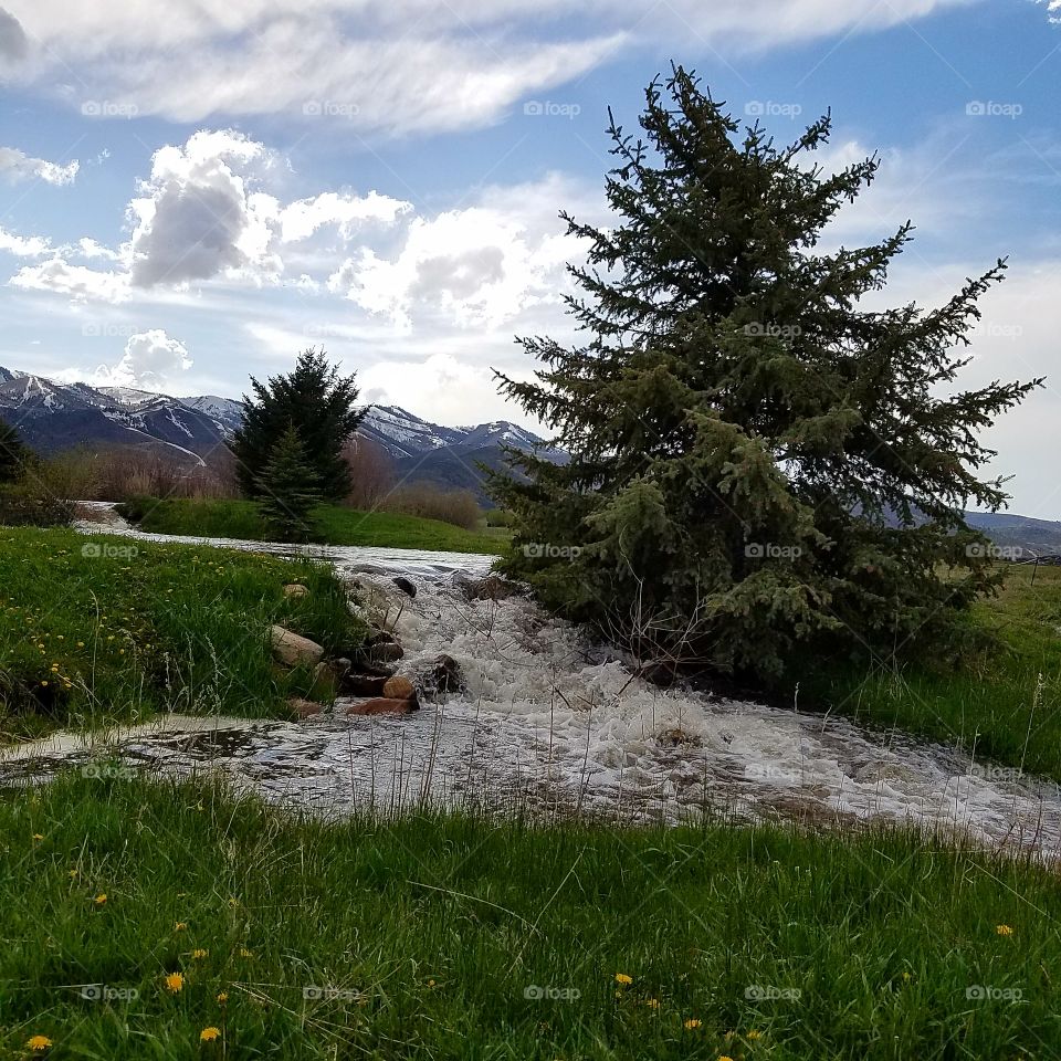 Springtime Overflow in Utah