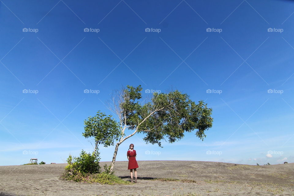 People n tree