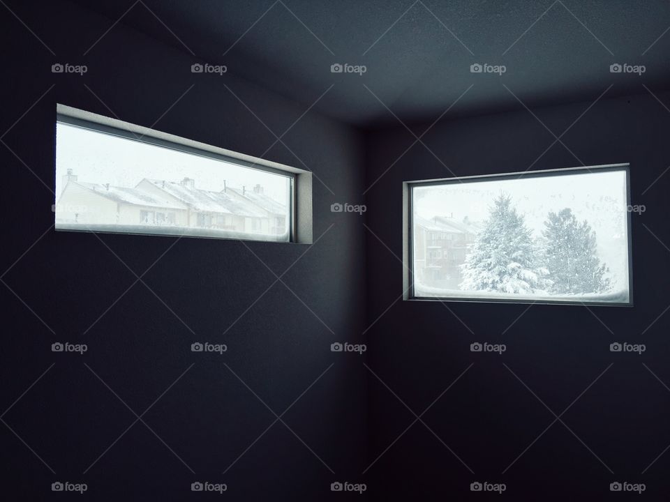 View of snowy trees through window