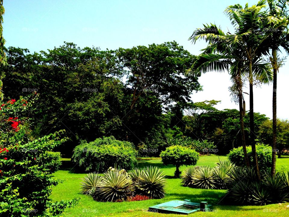 Paradise garden . Hotel Rex gardens in Grenada West Indies 