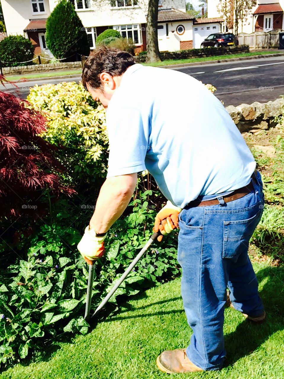 Mr Denham. Mr Denham edging the front lawn