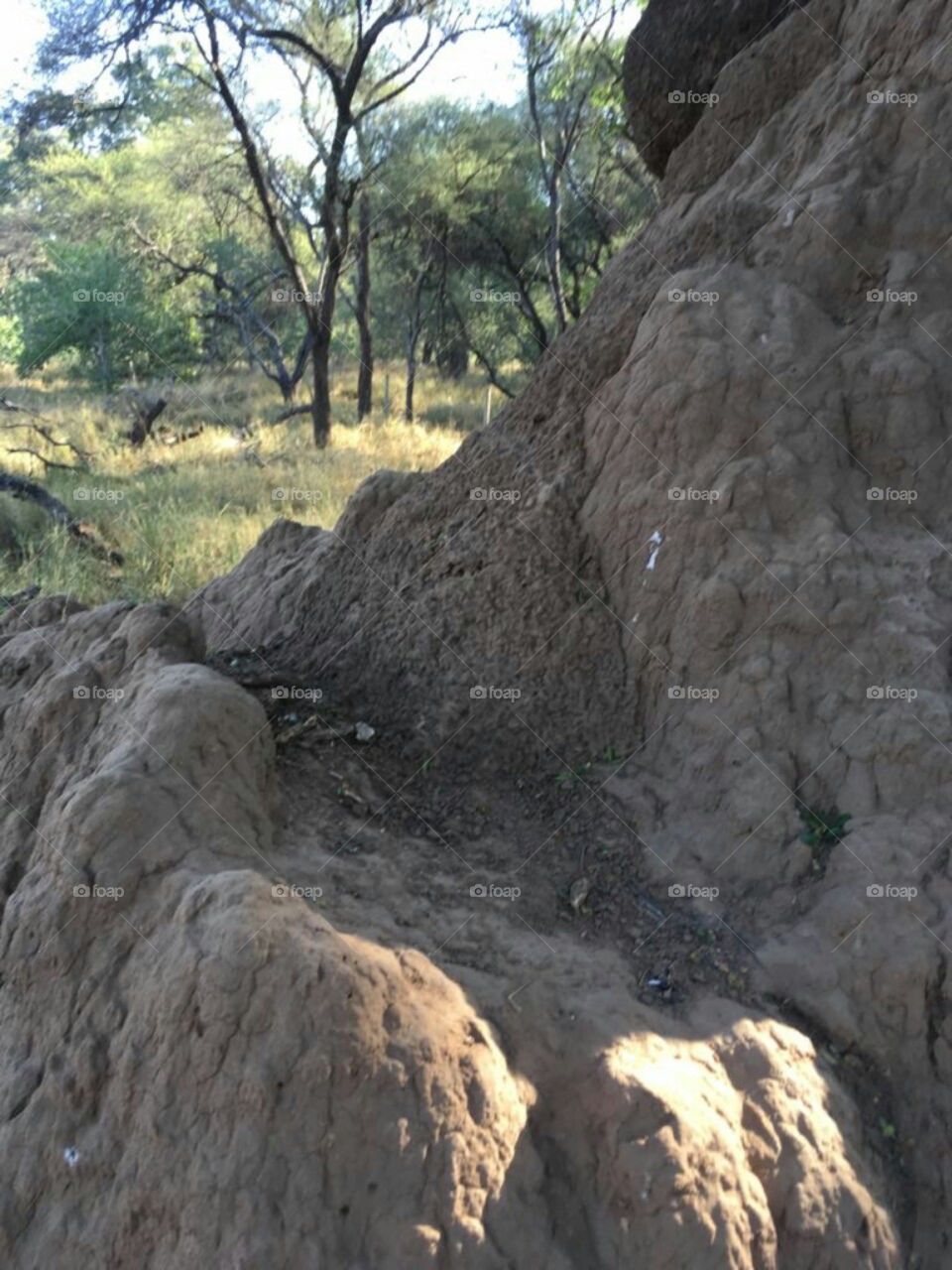 Kruger National Park