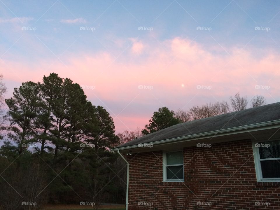 No Person, Tree, Home, House, Sky