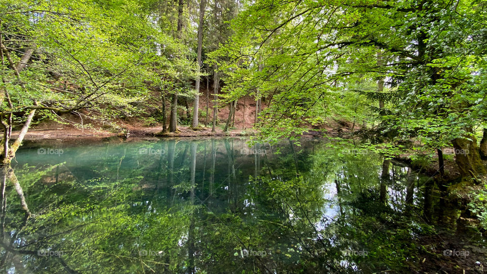Steibachweiher 