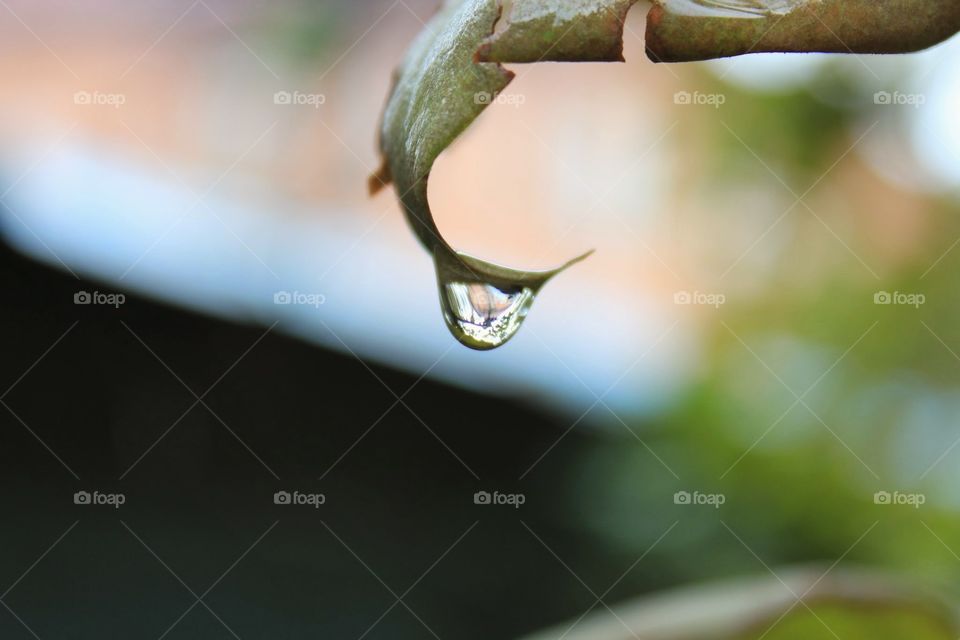 a drop